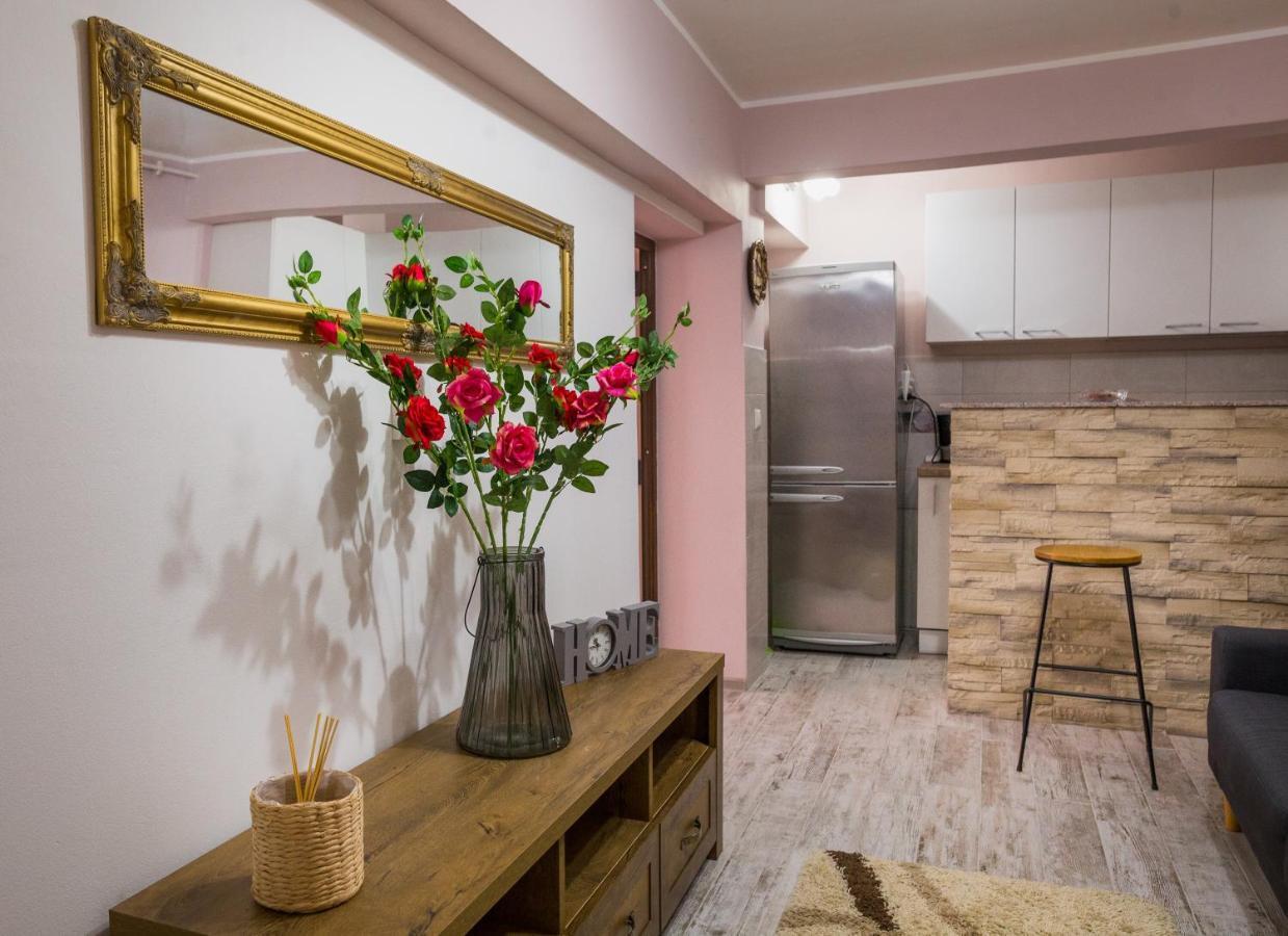 Alpin Central Studio Brasov Exterior photo